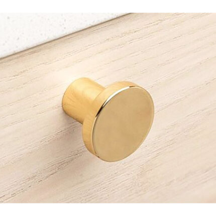 Picasso Cabinet Knob Polished Brass