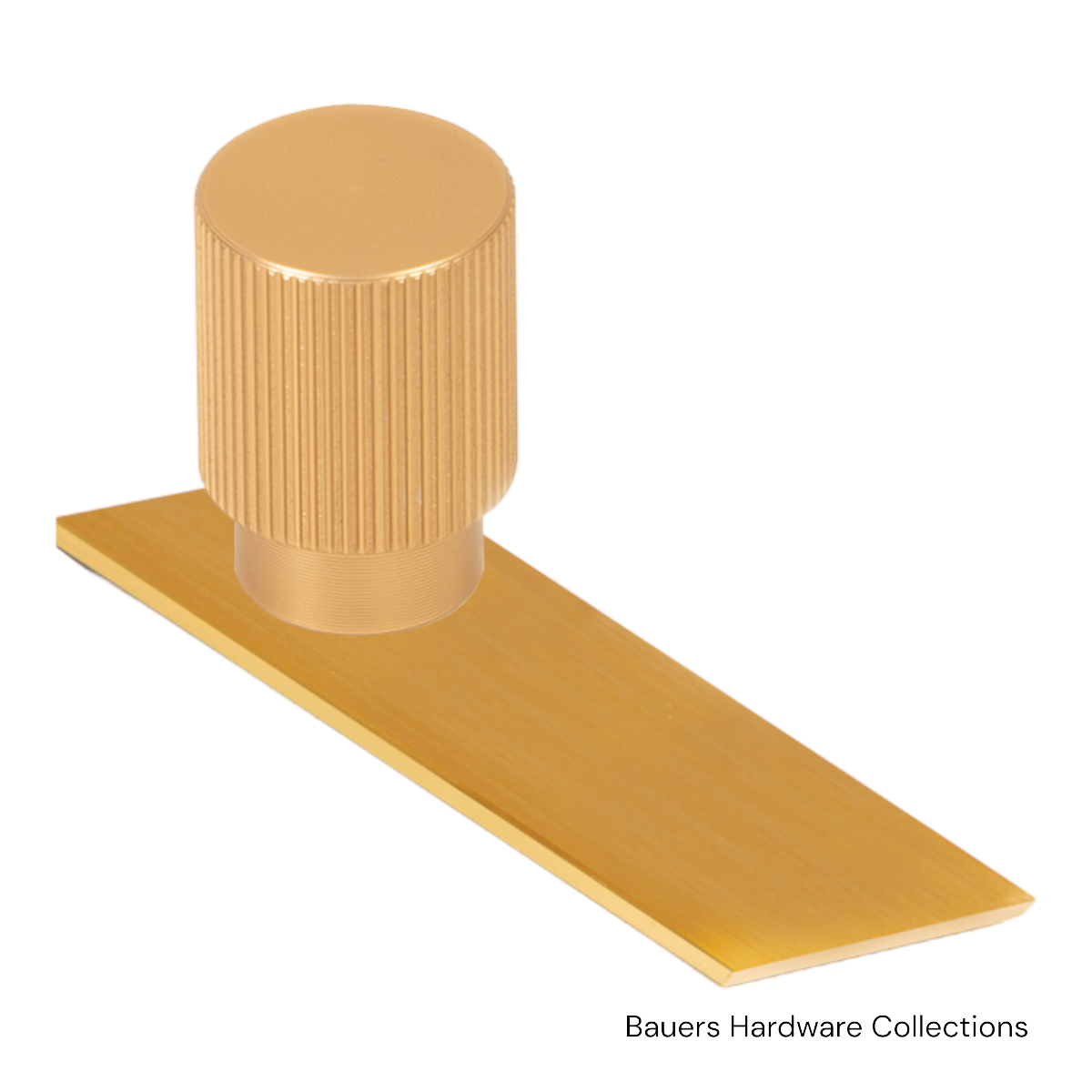 Charlotte cabinet knob and backplate in brushed Gold finish installed on kitchen cabinets
