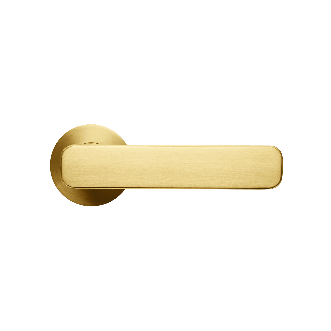 ASPLH.BSB 1 d7e86fb6 80f4 45a6 a8d5 88579339ace1.png